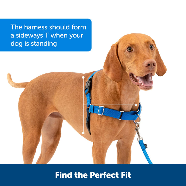 PetSafe Easy Walk Dog Harness - Stop Pulling & Teach Leash Manners - Prevent Pulling on Walks - Medium, Charcoal/Black