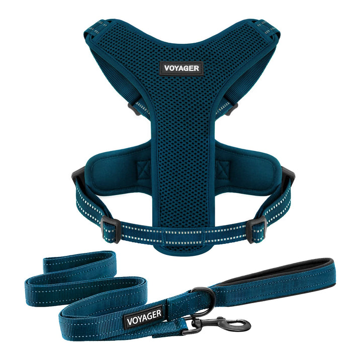 Air Frontier Mesh Dog Harness with and Reflective Dog Leash Set, Reflective Stitching, and Lightweight Breathable No-Pull Design, Adjustable Neck and Chest Straps for Small to Large Breeds - BUW, XL