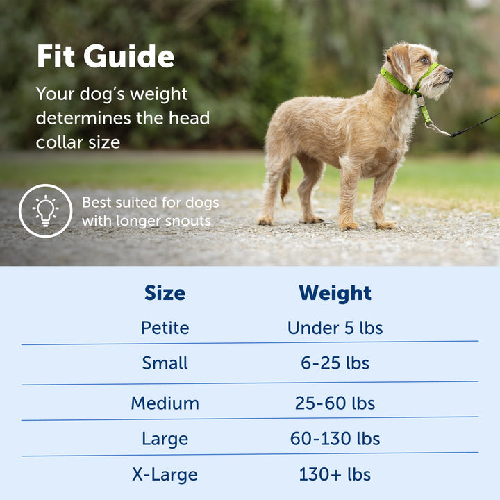 PetSafe Gentle Leader No-Pull Dog Headcollar - The Ultimate Solution to Pulling - Redirects Your Dog's Pulling for Easier Walks - Helps You Regain Control - Small, Charcoal Grey, Charcoal