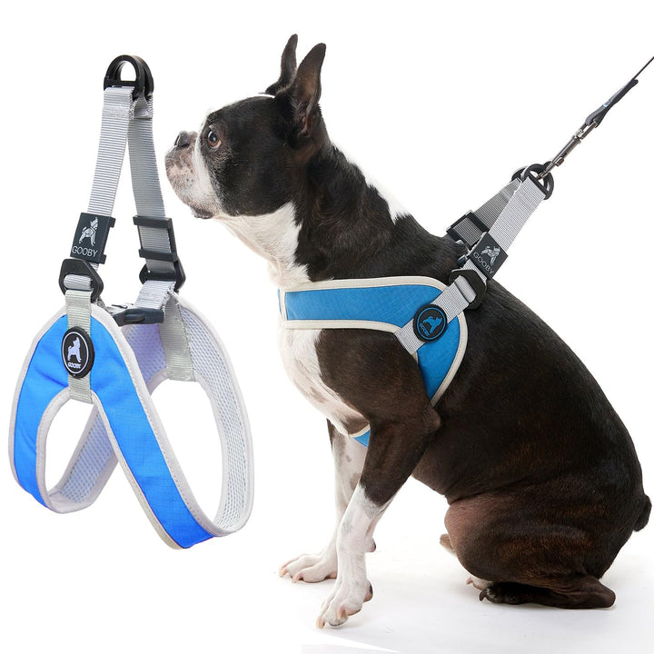 Gooby Simple Step in III Harness - Blue, Large - Small Dog Harness with Scratch Resistant Outer Vest - Soft Inner Mesh Harness for Small, Medium Dogs Large chest (18.5∼23.75")