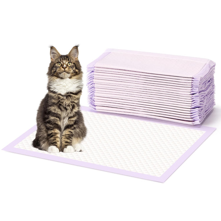 Cat Pads Refills for Litter Box: Cat Litter Mat for Tidy Cats Breeze Litter System - Thickened 6-Layer Super Absorbent Breeze Pads - 16.9" X 11.4" Odor Control - Lemon Scent - Pack of 20 20 Count Scented