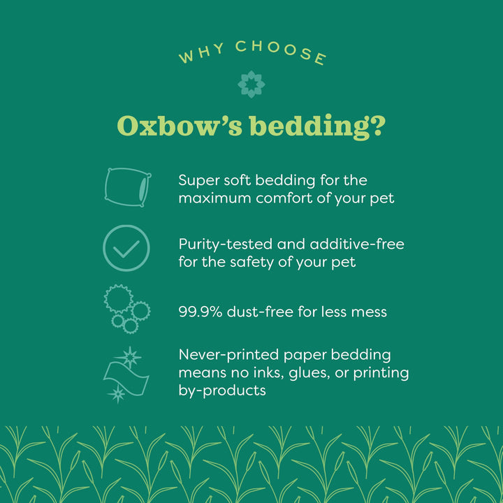 Oxbow Pure Comfort Small Animal Bedding - Odor & Moisture Absorbent, Dust-Free Bedding for Small Animals, White, 36 Liter Bag, 15.0" L x 8.7" W x 3.5" Th