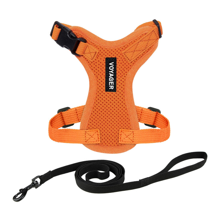 Voyager Step-in Lock Cat Harness w Reflective Cat Leash Combo Set with Neoprene Handle 5ft - Supports Small, Medium and Large Breed Cats by Best Pet Supplies - Orange, XXXS Harness Leash Set (Orange) XXXS (Chest: 10.5 - 13" * Fit Cats)