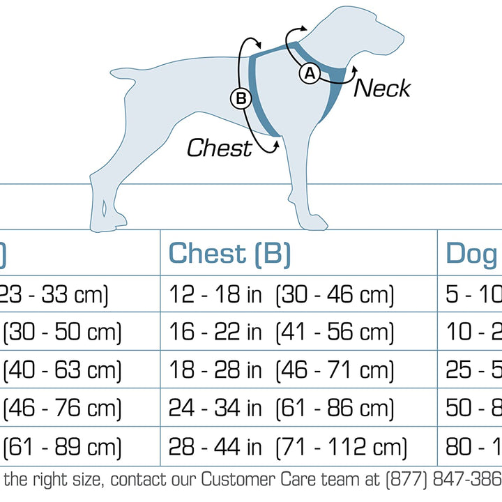 Kurgo Dog Harness for Large, & Small Active Dogs, Pet Hiking Harness for Running & Walking, Everyday Harnesses for Pets, Reflective, Journey Air (Black, Medium), Black/Gray (K01944)