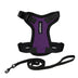 Voyager Step-in Lock Pet Harness - All Weather Mesh, Adjustable Step in Harness for Cats by Best Pet Supplies - Purple/Black Trim, XXS