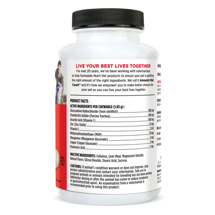 Nutri-Vet Hip & Joint Chewable Dog Supplements | Formulated with Glucosamine & Chondroitin for Dogs | 120 Count