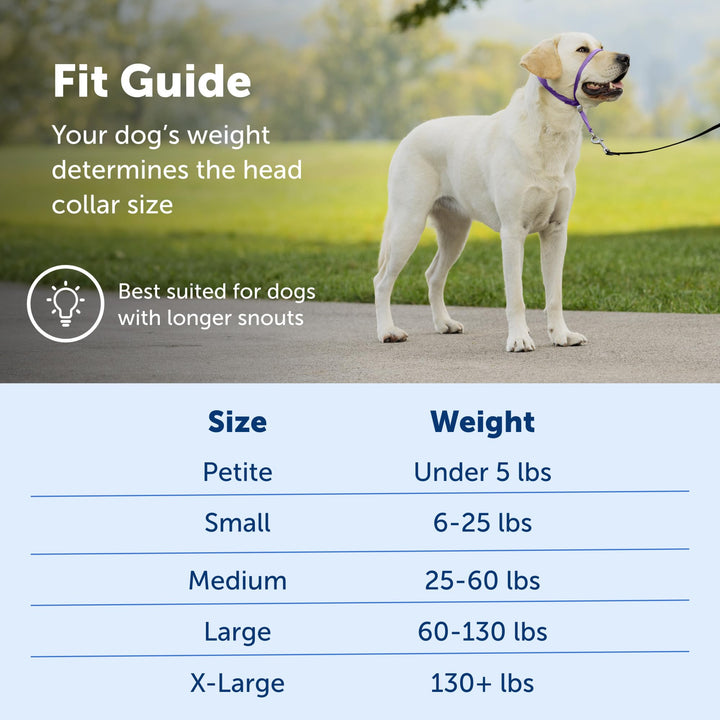 PetSafe Gentle Leader No-Pull Dog Headcollar - The Ultimate Solution to Pulling - Redirects Your Dog's Pulling For Easier Walks - Helps You Regain Control - Large, Royal Blue