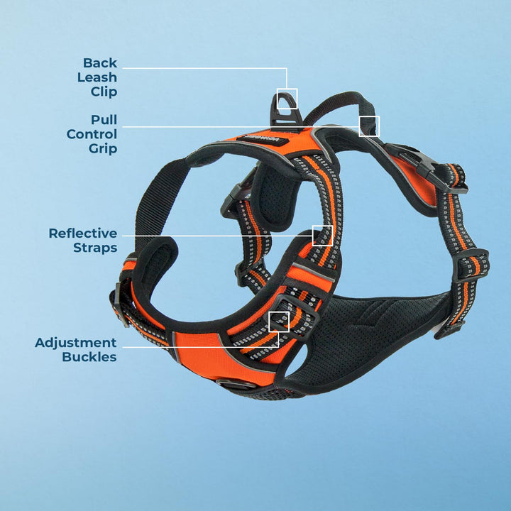 Dog Harness Dual Leash Attachment No-Pull Control Adjustable Soft but Strong Pet Harness For Medium And Large Dogs With 3M Reflective Technology - Orange, XS (Chest: 13 - 16") XS (Chest: 13 - 16") Harness (Orange Nylon)