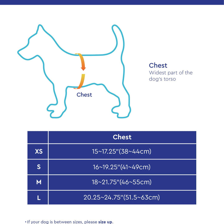 Gooby Escape Free Easy Fit Harness - Turquoise, X-Small - No Pull Step-in Patented Small Dog Harness with Quick Release Buckle - Perfect On The Go No Pull Harness for Small Dogs or Medium Dog Harness X-Small chest (15~17.25")