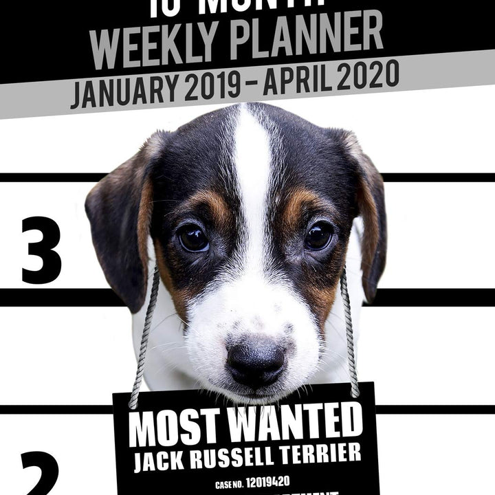 16-Month January 2019- April 2020 Weekly Planner - Most Wanted Jack Russell Terrier: Daily Diary Monthly Yearly Calendar Large 8.5" x 11" Schedule ... Notebook Appointment (Dog Planners 2019-2020)