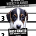 16-Month January 2019- April 2020 Weekly Planner - Most Wanted Jack Russell Terrier: Daily Diary Monthly Yearly Calendar Large 8.5" x 11" Schedule ... Notebook Appointment (Dog Planners 2019-2020)