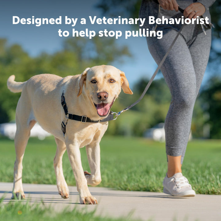 PetSafe Easy Walk Harness, Large, Deep Purple & Black for Dogs