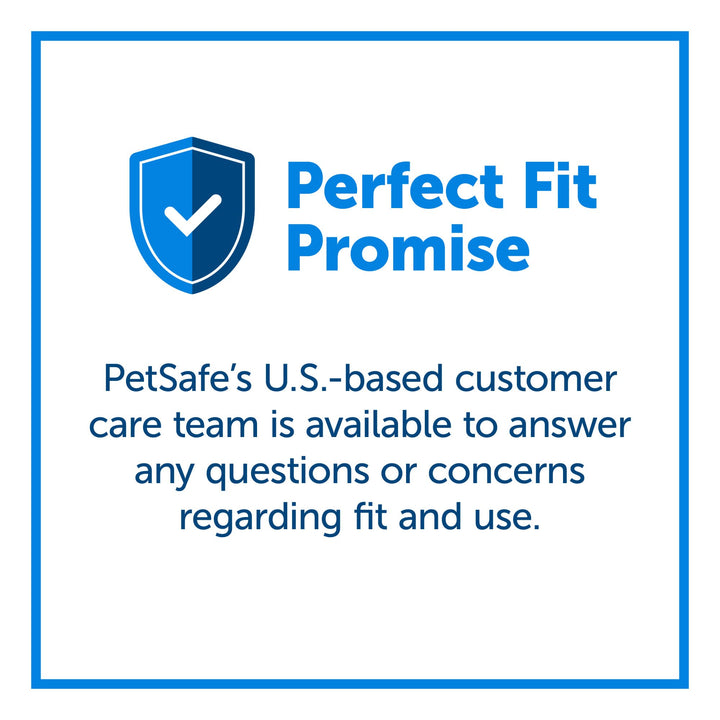 PetSafe Martingale Collar with Quick Snap Buckle, 3/8" Petite, Deep Purple PETITE (NYLON WIDTH 3/8")