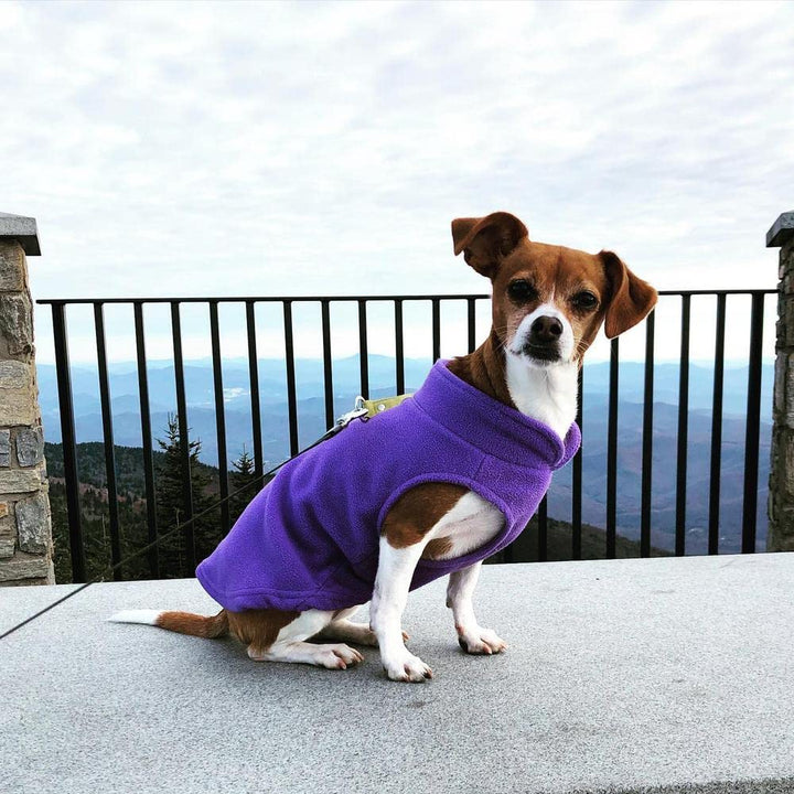 Gooby Fleece Vest Dog Sweater - Lavender, X-Small - Warm Pullover Fleece Dog Jacket with O-Ring Leash - Winter Small Dog Sweater Coat - Cold Weather Dog Clothes for Small Dogs Boy or Girl X-Small (Around 4-lb)