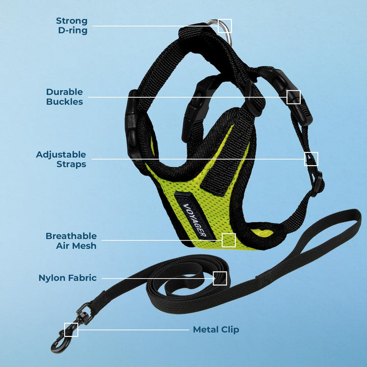 Voyager Step-in Lock Pet Harness - All Weather Mesh, Adjustable Step in Harness for Cats by Best Pet Supplies - Lime Green/Black Trim, XXXS