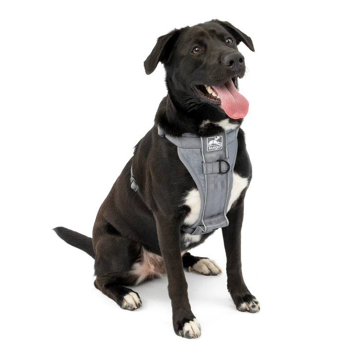 Kurgo Tru-Fit Quick Release Dog Harness - Durable, Everyday Harness for Dogs - Hiking, Walking, Running - Reflective, Quick Release Buckles - Includes Pet Seatbelt - No Pull Training - Gray, XL Grey X-Large