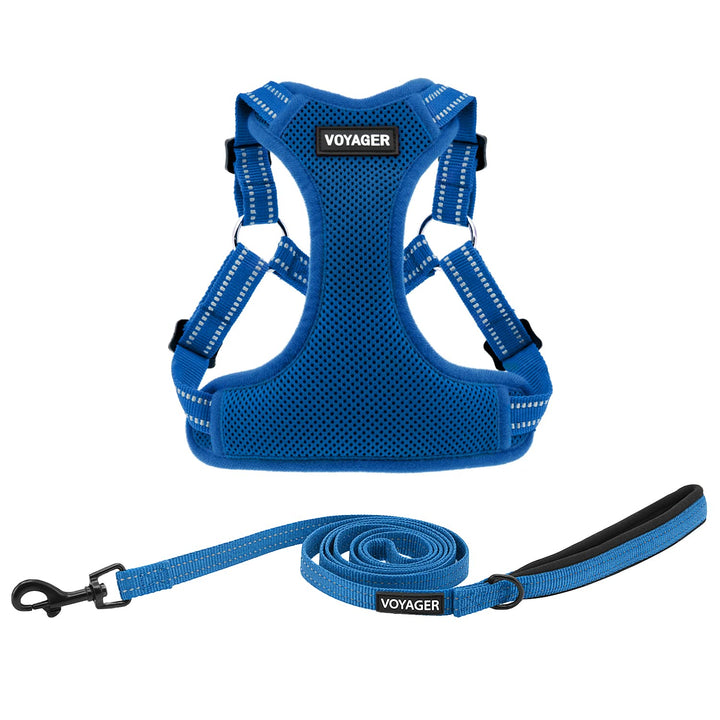 Best Pet Supplies Voyager Adjustable Dog Harness Leash Set with Reflective Stripes for Walking Heavy-Duty Full Body No Pull Vest with Leash D-Ring, Breathable All-Weather - Harness (Royal Blue), S Harness Leash Set (Royal Blue) S (Chest: 15 - 18")