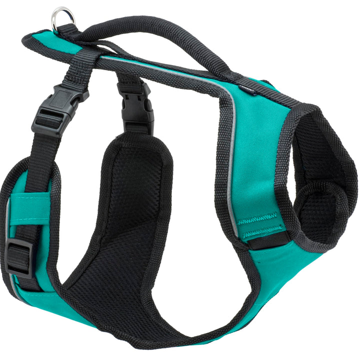 PetSafe EasySport Harness Padded Straps Fully Adjustable Elastic Neckline Best for Athletic Dogs Top Handle for Quick Control Large Teal