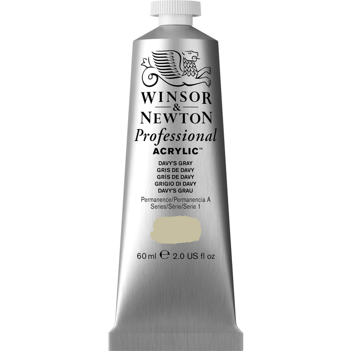 Winsor & Newton Professional Acrylic Paint, 60ml (2-oz) Tube, Davy's Gray 2-oz Tube