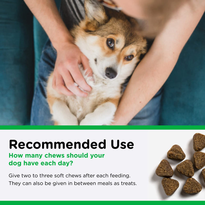 Nutri-Vet Dental Health Soft Chews for Dogs | Helps Control Plaque and Tartar Buildup | Natural Hickory Smoke Flavor | 70 Count , 6 oz