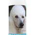 Healthy Breeds Poodle Bright Whitening Shampoo 12 oz