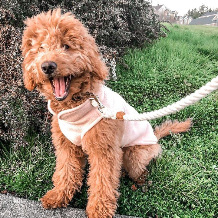 Gooby Fleece Vest Dog Sweater - Peach, Large - Warm Pullover Fleece Dog Jacket with O-Ring Leash - Winter Small Dog Sweater Coat - Cold Weather Dog Clothes for Small Dogs Boy or Girl Large (Around 18-lb)
