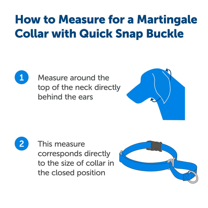 PetSafe Martingale Collar with Quick Snap Buckle, 3/8" Petite, Deep Purple PETITE (NYLON WIDTH 3/8")