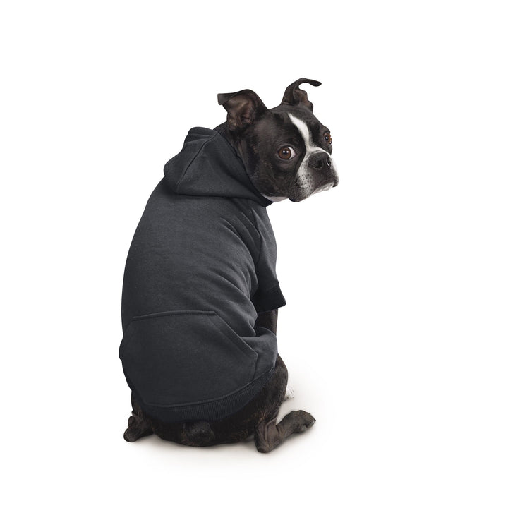 Zack & Zoey Basic Hoodie for Dogs, 12" Small, Jet Black S (Neck: 10", Girth: 16", Back: 12")