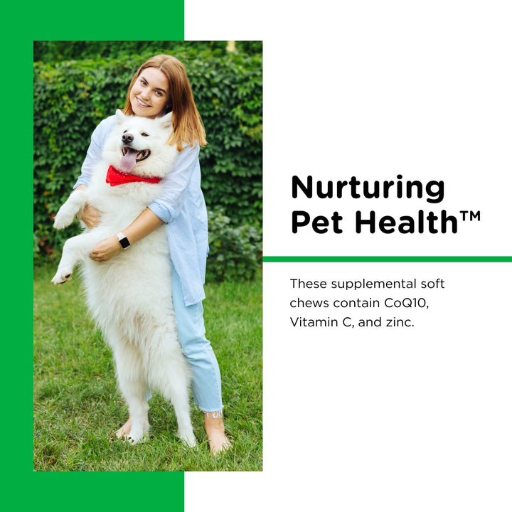 Nutri-Vet Dental Health Soft Chews for Dogs | Helps Control Plaque and Tartar Buildup | Natural Hickory Smoke Flavor | 70 Count , 6 oz