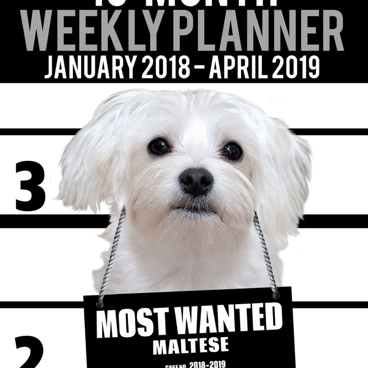 2018-2019 Weekly Planner - Most Wanted Maltese: Daily Diary Monthly Yearly Calendar Large 8.5" x 11" Schedule Journal Organizer (Dog Planners 2018-2019)