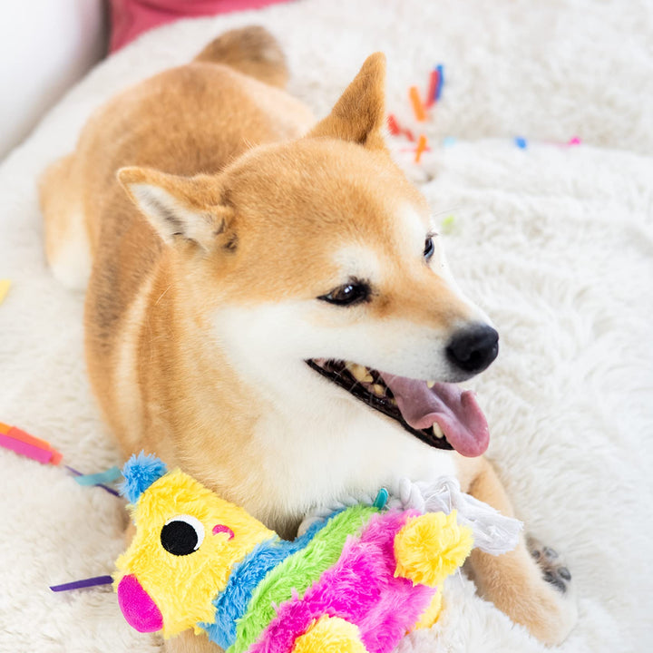 Pearhead Puppy Pinata Dog Toy, Rope Tug Toy for Dogs, Colorful Interactive Dog Toys, Party Pinata Toy for Dogs, Plush Chew Toy, Pet Owner Must Have Toy Pearhead Puppy Pinata Dog Toy