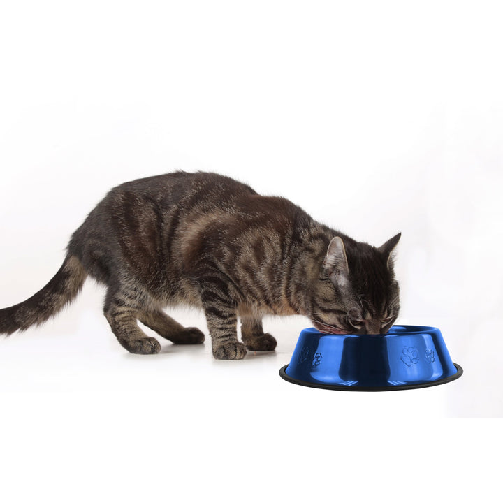 Platinum Pets Non-Tip Stainless Steel Dog Bowl, 10 Oz, Sapphire Blue, Small
