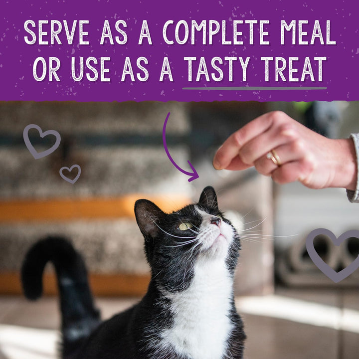 Stella & Chewy's Freeze-Dried Raw Cat Dinner Morsels – Grain Free, Protein Rich Cat & Kitten Food – Plate Lickin' Pork Recipe – 8 oz Bag 8 Ounce (Pack of 1)