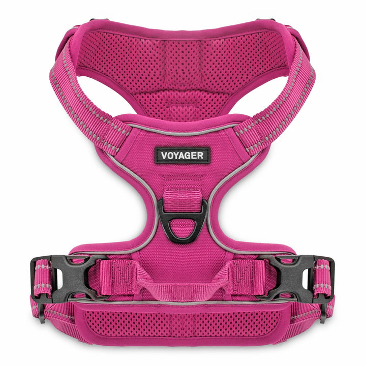 Dog Harness Dual Leash Attachment No-Pull Control Adjustable Soft but Strong Pet Harness for Medium and Large Dogs with 3M Reflective Technology - Fuchsia, M (Chest: 20 - 25") M (Chest: 20 - 25") Fuchsia (Nylon)