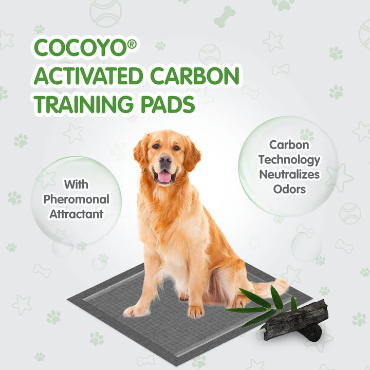 COCOYO Best Value Training Pads, 22"X30" L, 150 Count,White (Packaging May Vary) Large