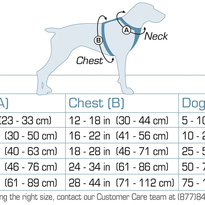 Kurgo Tru-Fit Quick Release Dog Harness - Durable, Everyday Harness for Dogs - Hiking, Walking, Running - Reflective, Quick Release Buckles - Includes Pet Seatbelt - No Pull Training - Gray, XS Grey X-Small