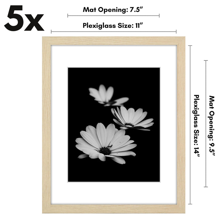 Americanflat 12x16 Picture Frame with Polished Plexiglass - Set of 5 - Use as 8.5x11 Frame with Mat or 12x16 Frame Without Mat - Galleria Collection - Gallery Wall Frame Set for Wall Display - White