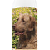 Healthy Breeds Chesapeake Bay Retriever Oatmeal Shampoo with Aloe 16 oz Oatmeal 16 oz