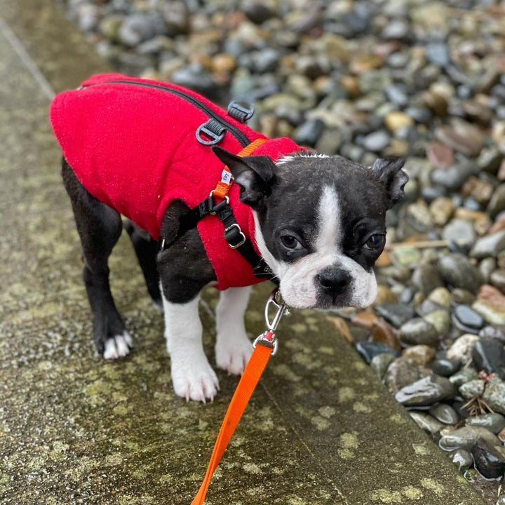 Gooby Zip Up Fleece Dog Sweater - Red, Medium - Warm Pullover Fleece Step-in Dog Jacket with Dual D Ring Leash - Winter Small Dog Sweater - Dog Clothes for Small Dogs Boy and Medium Dogs Medium chest (~17.5")