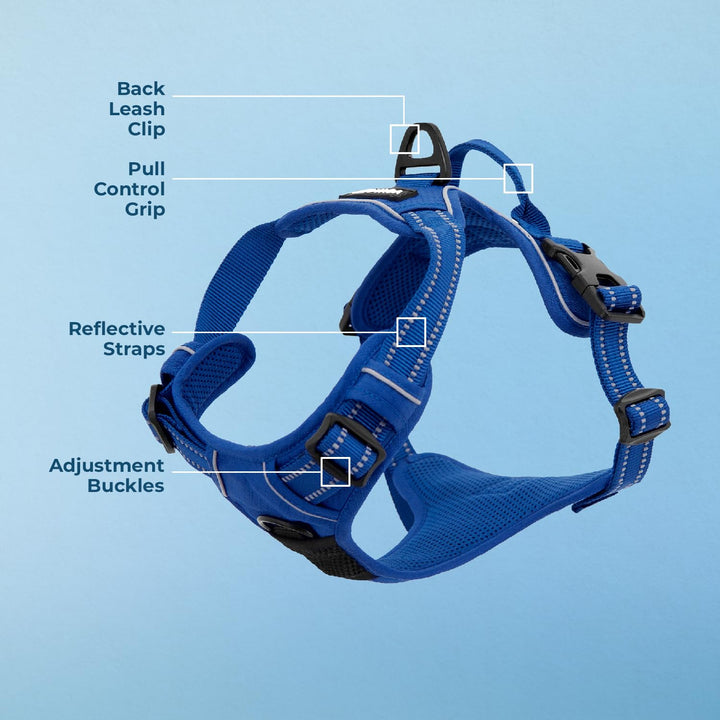 Voyager Dog Harness Dual Leash Attachment No-Pull Control Adjustable Soft but Strong Pet Harness for Medium and Large Dogs with 3M Reflective Technology - Royal Blue Lattice, L (Chest: 25 - 30") L (Chest: 25 - 30") Harness (Royal Blue Lattice Nylon)