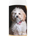 Healthy Breeds Cockapoo Oatmeal Shampoo with Aloe 16 oz Oatmeal 16 oz