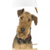 Healthy Breeds Airedale Terrier Oatmeal Shampoo with Aloe 16 oz Oatmeal 16 oz