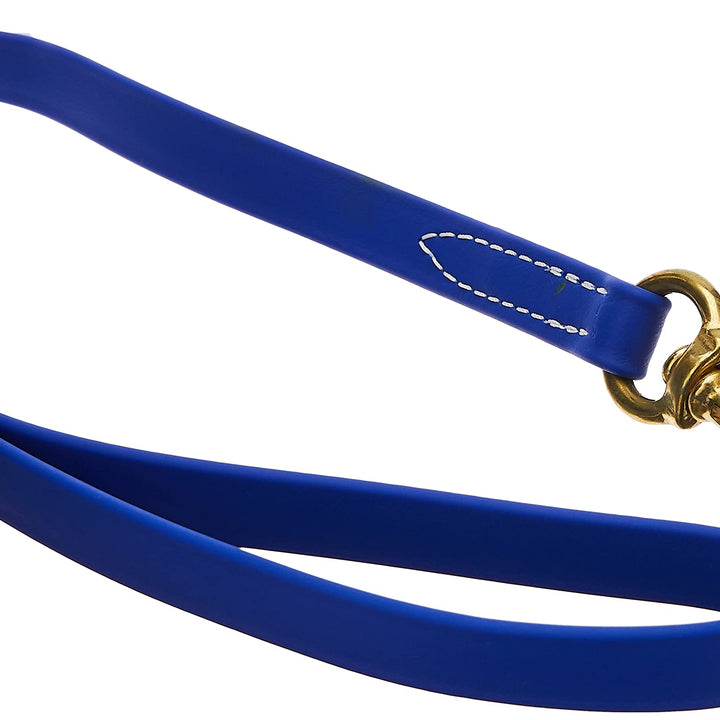 J&J Dog Supplies Biothane Dog Leash, 3/4" Wide by 6' Long, Blue