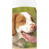 Healthy Breeds Brittany Oatmeal Shampoo with Aloe 16 oz Oatmeal 16 oz