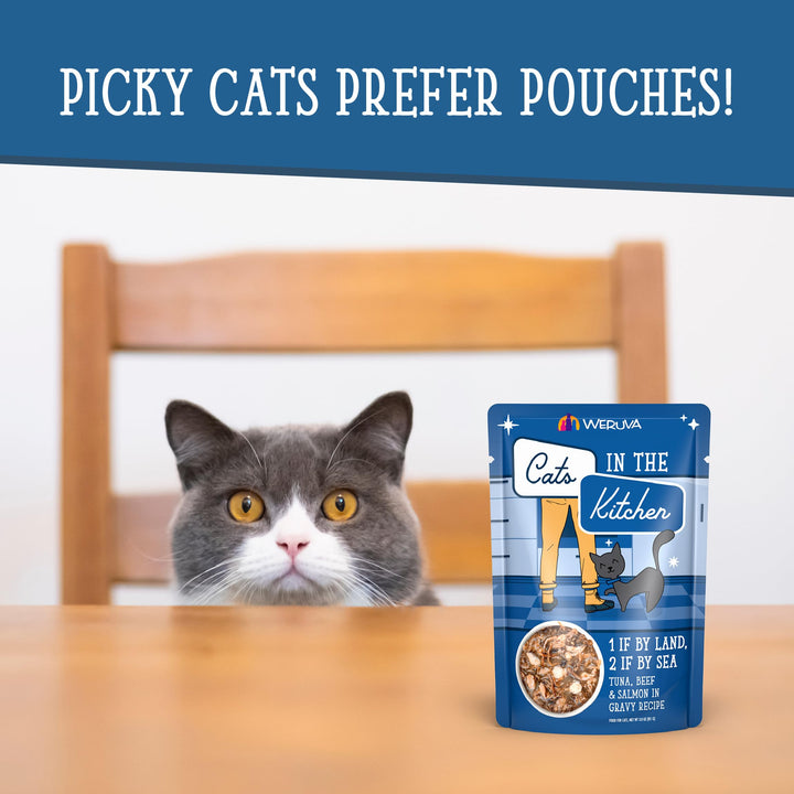 Weruva Cats in the Kitchen, Pantry Party Pouch Variety Pack in Gravy Cat Food, 3oz Pouch (Pack of 12) Pantry Party Variety Pack 3 Ounce (Pack of 12)