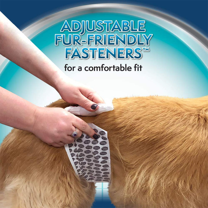 Disposable Dog Diapers for Male Dogs | Male Wraps with Super Absorbent Leak-Proof Fit | Excitable Urination, Incontinence, or Male Marking | Medium | 12 Count