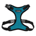 Voyager Step-in Lock Pet Harness - All Weather Mesh, Adjustable Step in Harness for Cats and Dogs by Best Pet Supplies - Turquoise/Black Trim, L Harness (Turquoise/Black Trim) L (Chest: 20 - 25")