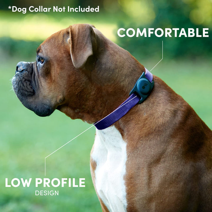 Case-Mate 2 Pack Airtag Dog Collar Holder - Water Resistant Airtag Holder Dog Tag - Lightweight Protective Airtag Case for Dog Collar - Pet Collar Airtag Loop - Compatible w/Cat/Dog Collars - Black Black - 2 Pack