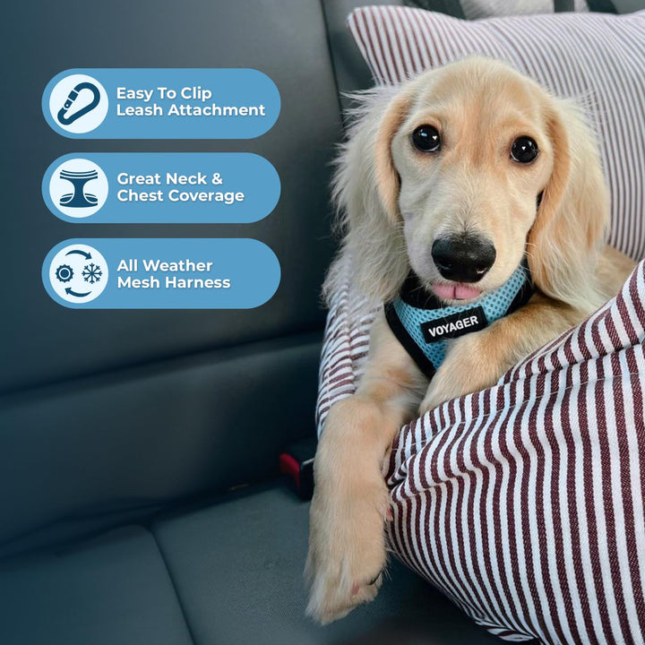 Voyager Step-In Air Dog Harness - All Weather Mesh Step in Vest Harness for Small and Medium Dogs by Best Pet Supplies - Baby Blue Base, M Harness (Baby Blue/Black Trim) M (Chest: 16 - 18")
