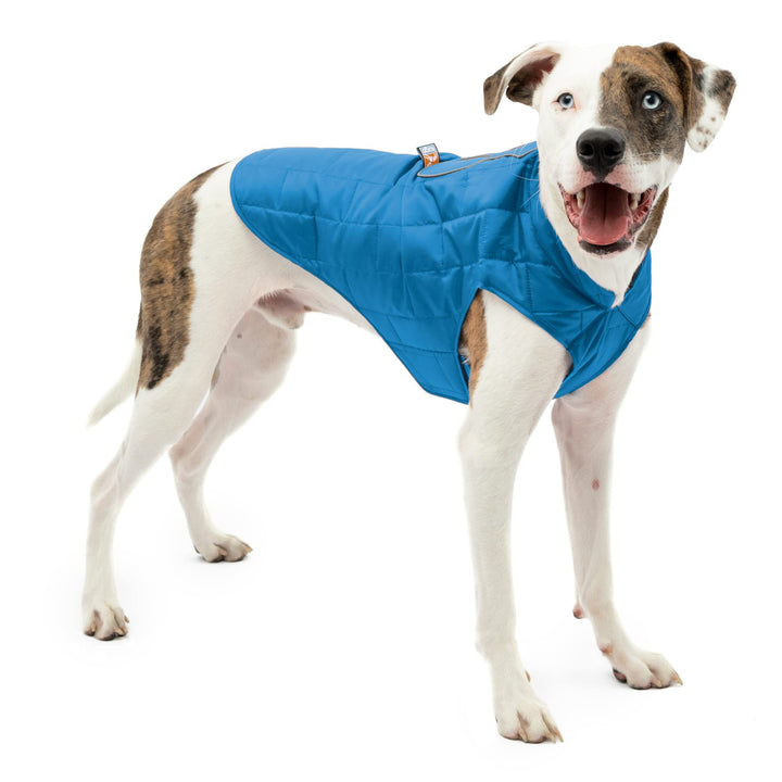 Kurgo Loft Dog Jacket, Reversible Dog Coat, Wear with Harness or Sweater, Water Resistant, Reflective, Winter Coat For Large Dogs (Coastal Blue, L)